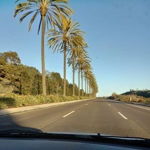 Meet your Posher, Zenaida ricardez